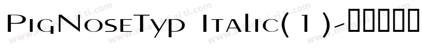PigNoseTyp Italic(1)字体转换